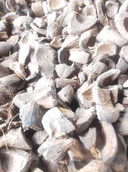 Palm kernel shells, palm kernel cake, palm oil, Fertilizer, soya Beans and sesame seeds. - Kabari yeghe farms co-operative investment limited  - Nigeria