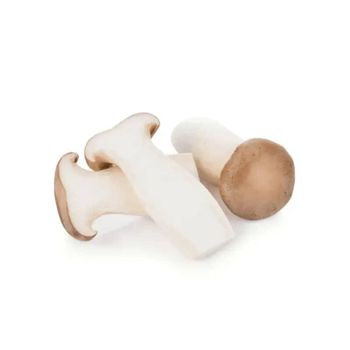 Sinocharm Cultivation Mushroom Iqf Frozen White Mushroom Champignon Whole Oem/Bulk Bag - AL JABLI TRADING COMPANY LIMITED - Tanzania