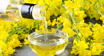 Refined Canola Oil - SM GLOBAL TRADE - Spain