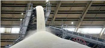 SUGARS: ICUMSA 45 WHITE REFINED SUGARS, RAW BROWN SUGAR ICUMSA 600-800, ICUMSA 100, 150. - Micman Sugars (Brazil) Ltda. - Brazil