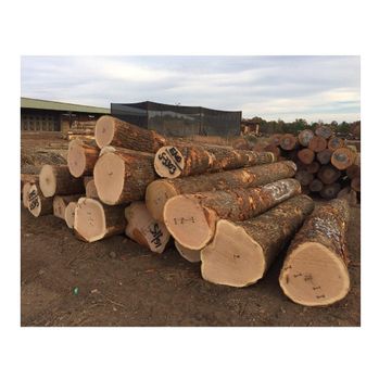 Hot Sale Price Of Oak Timber LOGS | Oak Wood Round Logs For Sale from Exigentelaxia Unipessoal Lda Hot Sale Price Of Oak Timber LOGS | Oak Wood Round Logs For Sale - Exigentelaxia Unipessoal Lda - Portugal
