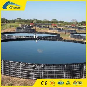 Plastic Construction Liner High Strength and Corrosion Resistance HDPE Geomembrane Fish Pond Swimming Pool - Dezhou Huaxiang New Material Technology Co., Ltd. - China
