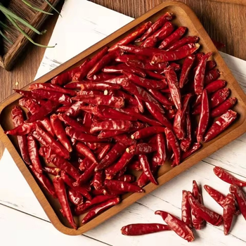 Cayenne Pepper Fine Mesh Powder Delivering Uniform Texture And Intense Flavor For Industrial Food Ingredient - TOSOH INTERNATIONAL - South Africa