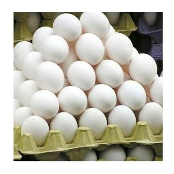BULK FRESH TABLE EGGS - Fresh Chicken Table Eggs/Fresh Chicken Hatching EGGS -  CALIPSO POLSKA SP Z OO  - Poland