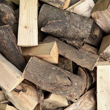 Natural Oak Firewood Premium Quality Hardwood Fuel Long Burning Firewood for Fireplaces Ovens and Barbecue Cooking - agroturaspzoo - Poland