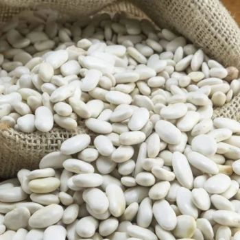 Natural White Kidney Beans Clean Whole Beans for Cooking Food Processing and Home Use Bulk Wholesale Low Cost - A.C.P. AGRICULTURE COMPANY LIMITED - Thailand
