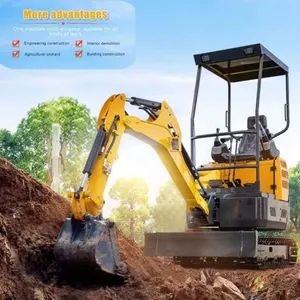Farm to City 2ton Hydraulic Mini Excavator for Landscaping Farming and Municipal Projects Kubotaa Configuration with Side Swing Bo - Hunan Hongchang Machinery Co., Ltd - China