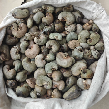 Raw Cashew Nuts (RCN) – West Africa Origin – product photo, Cashew Nut Kernel products found from trusted suppliers, wholesalers, manufacturers & exporters Listing