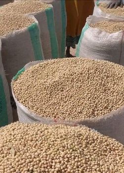 Best quality Non-GMO Soybeans – Nigerian Origin – product photo, Recommend Fallback