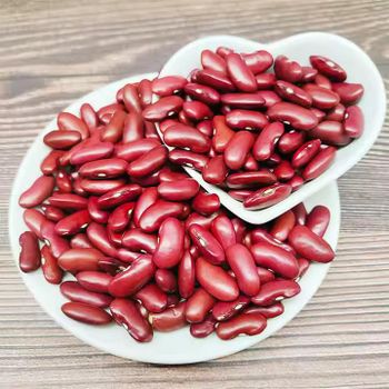 Organic Red/Light Speckled Kidney Beans Grade A Weight (kg) 25 Type Red Beans Shelf Life 3years Drying Process AD Cultivation Type - Agroral import export srl  - Romania
