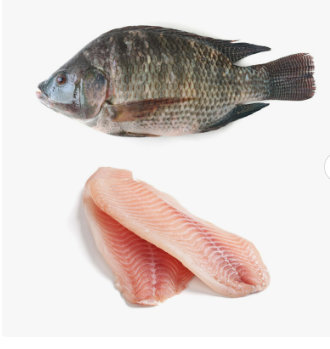 Frozen Tilapia Fish the best selling fish that has a savory taste without scales and guts.Sea Food W/R Tilapia Black Tilapia Fish - Almaa SCS - Belgium