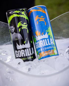Gorilla Energy Drink | Wholesale Supply | Bulk Distribution | Energy Beverage Supplier from CHHC AGR0-CHEMICAL PRODUCTS WHOLESALING Gorilla Energy Drink | Wholesale Supply | Bulk Distribution | Energy Beverage Supplier - CHHC AGR0-CHEMICAL PRODUCTS WHOLESALING - Philippines