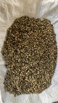 Coffe Robusta Features Organic Origin Indonesia Product Type Spices - Soffan - Indonesia