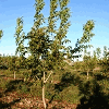 Product - FRUITEX - Spain