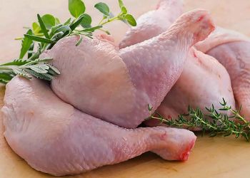 Frozen Chicken Thighs - Chicken Thighs - Frozen Thighs - Whple Frozen Chicken - Bartels-Langness Handelsgesellschaft mbH & Co. KG - Germany