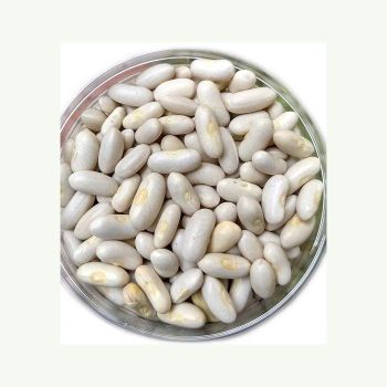 high quality white beans for cooking soups chili salads and healthy dishes natural whole beans rich in plant protein fiber and essential nutrients perfect for vegetarian diets home kitchens and restaurants from SATTER FOOD AND BEVERAGE high quality white beans for cooking soups chili salads and healthy dishes natural whole beans rich in plant protein fiber and essential nutrients perfect for vegetarian diets home kitchens and restaurants - SATTER FOOD AND BEVERAGE - Netherlands