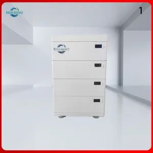 Reliable 100ah 51.2V LiFePO4 Battery for Home Energy Storage Size Large Origin China Rechargeable Yes HS Code 85076000 Model NO. - Henan Wanyang Lithium Battery Technology Co., Ltd. - China
