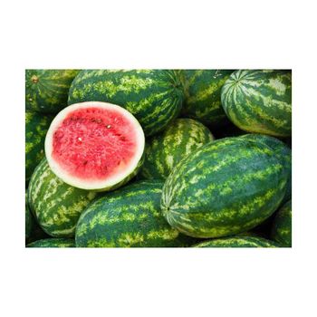 Wholesale fresh watermelon bulk supply premium quality available - Mundus Exports Pty Ltd - South Africa