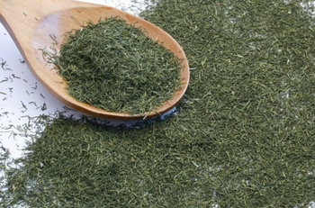 Finest Quality Dried Dill Tips for Wholesale from Njang Investments Limited Finest Quality Dried Dill Tips for Wholesale - Njang Investments Limited - Kenya