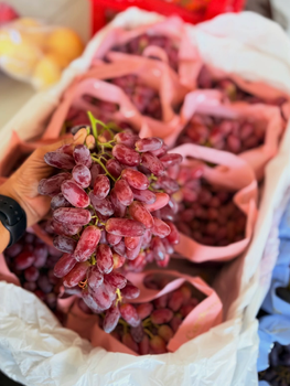 Refreshing Taste Premium Fresh Red Grapes | Export Quality Fresh Sweet Grapes 5kg Bags On Sale - Sosa Merchant Solutions - Austria