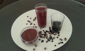 Dried Organic Aronia from ORGANIC ARONIA LTD Dried Organic Aronia - ORGANIC ARONIA LTD - Bulgaria