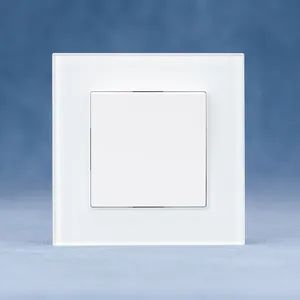 EU Standard and High Quality 1 Gang 1 Way Electrical Wall Switch with Glass Panel - Yueqing Beibaixiang Xingpeng Electrical Switch Factory - China