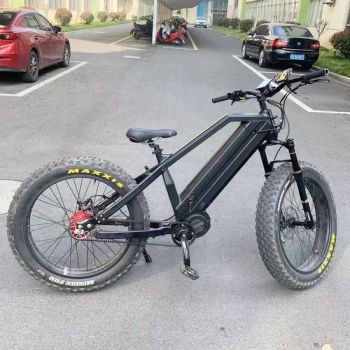 Bafang 1000W G510 M620 Central Motor 5 Speeds Automatic Gears Hub for Electric Fat Bike Ebike with Belt Drive and Gates - Changzhou Leili Vehicle Parts Co., Ltd. - China
