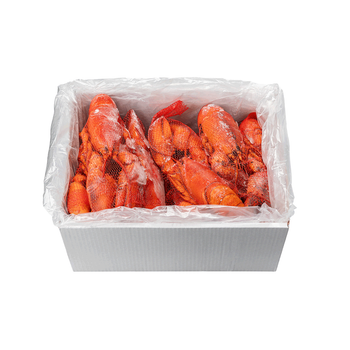 Freshwater Frozen Live American Lobster Whole Tails 100% Pure Box Packaging Low Price Sale from TRADECENTRIC LLC Freshwater Frozen Live American Lobster Whole Tails 100% Pure Box Packaging Low Price Sale - TRADECENTRIC LLC - United States