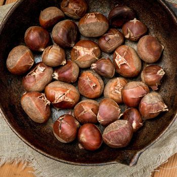 High Nutrition Chestnuts Featuring 98% Whole Kernels Ideal For Food Ingredient Distribution And Bulk Export Demand - TOSOH INTERNATIONAL - South Africa