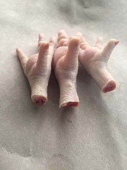 Frozen Chicken Feet and Paw Available from GIFEX AGRO TANANZIA LIMITED Frozen Chicken Feet and Paw Available - GIFEX AGRO TANANZIA LIMITED - Tanzania
