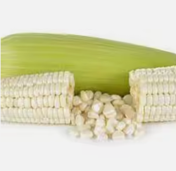 Yellow Corn for sale from TRADE NEPAL LLC Yellow Corn for sale - TRADE NEPAL LLC - United States