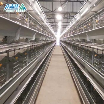 Wholesale H-Frame Automatic Egg Layer Chicken Farm Laying Hens Poultry Battery Cages - Qingdao Zhongzhijia Husbandry Machinery Co., Ltd. - China