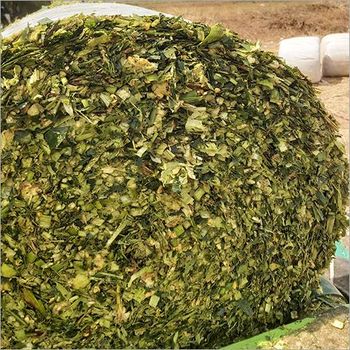 Premium grade  Corn Silage for  Animal Feed Features GMO-Free Origin South Africa Packaging Size > 25 kg Delivery Form Bag, Sacks -  JAC SEEDS & OIL TRADING (PTY) LTD - South Africa