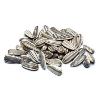 High Oil Content Sunflower Seed Selected For Processing And Export Markets With Clean Texture And Uniform Sizing - TOSOH INTERNATIONAL - South Africa