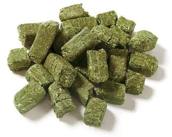 Quality Alfafa Hay for Animal Feeding Stuff Alfalfa / Timothy / Alfalfa for Cattle Feeding Alfalfa hay Pellets Timothy Hay from DAEWKAEW PANTAMANG Co., Ltd Quality Alfafa Hay for Animal Feeding Stuff Alfalfa / Timothy / Alfalfa for Cattle Feeding Alfalfa hay Pellets Timothy Hay - DAEWKAEW PANTAMANG Co., Ltd - Thailand