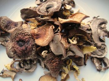 Dry Mushroom Dried Shiitake Mushroom Grade A Shelf Life 2 YEARS Moisture Content <=12% Place of Origin THAILAND Shipping Method By Air Or By Ship -  DAEWKAEW PANTAMANG Co., Ltd - Thailand