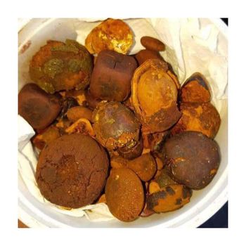 Gallstones Cattle Ox Cow Gallstones for sale in good price from Starmark Company Limited Gallstones Cattle Ox Cow Gallstones for sale in good price - Starmark Company Limited - Tanzania