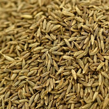 Bulk Cumin Seeds Natural Cumin Flavor For Food Processing And Exporters Premium Quality High Aroma Seeds from THE GREEN INTERNATIONAL LIMITED Bulk Cumin Seeds Natural Cumin Flavor For Food Processing And Exporters Premium Quality High Aroma Seeds - THE GREEN INTERNATIONAL LIMITED - Tanzania