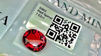 Sri Lankan Gems - Quapla Business Solutions  - Sri Lanka