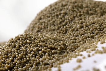 CUSTOM Agriculture DAP Fertilizer 18-46-0 Diammonium Phosphate 99% Purity for Fertilizer Blends - Carla Pisselli Commercio - Brazil