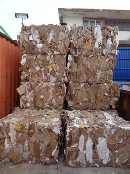 Wheat Straw Origin Punjab Material Wheat - GSS - Pakistan