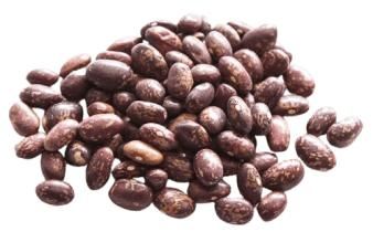 Royal calibrated beans - SULTAN AGRO IMPEKS - Uzbekistan