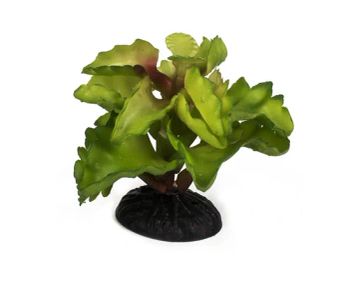 Wholesale Aquarium Plants Decor Aquatic Resin Accessories Artificial Succulent - Xiamen Xinly Pets Products Co., Ltd. - China
