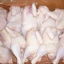Wholesale frozen whole chicken Texture Tender Shelf Life Long Grade AA, Premium Place Of Origin Thailand Place of Origin - Thai Agri Company - Thailand