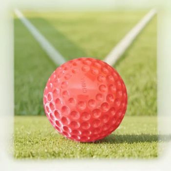 OEM Durable Cricket Pitching Machine Balls for Golf Training MOQ 1200 PCS Origin China Weight 140-145g Model NO. - Quanzhou Ruiqi Crafts Co., Ltd. - China