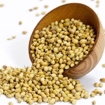 Coriander Seeds Place of Origin - SOURCE-X™ - India