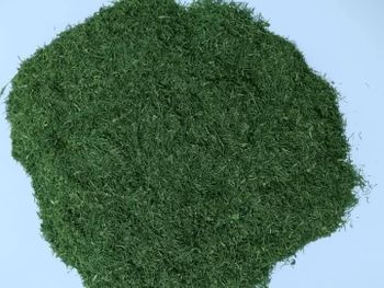 Dried Dill Leaves Premium Quality for Export Organic No Origin Egypt Aroma Strong Aroma Delivery Form Bag, Sacks Color Natural Green Color - La Sfida Export – Herbs & Spices Supplier - Egypt