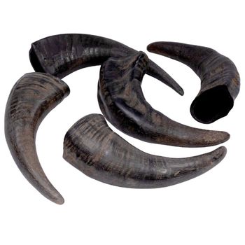 Horn Dog Chew from Almighty Overseas Nepal Pvt Ltd Horn Dog Chew - Almighty Overseas Nepal Pvt Ltd - Nepal