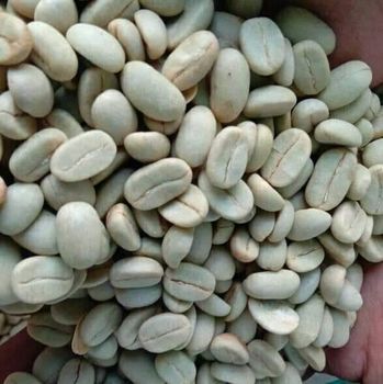 Robusta Coffee Bean - CV. Sekawan Cipta Dinar - Indonesia