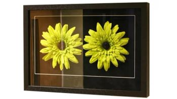 2mm-10mm Anti Reflective Coating Ar Construction Glass for Display Screens, Touch Screens, Display Cabinets, Photo Frame Glass - Qingdao Tsing Glass Co., Ltd. - China